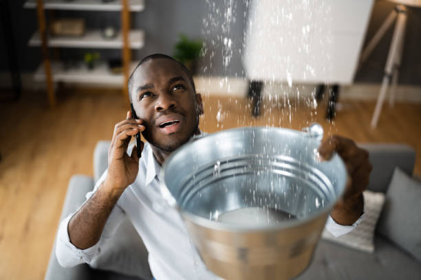 Best Water damage cleanup near me  in Garrettsville, OH