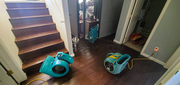 Water damage restoration experts in Garrettsville, OH