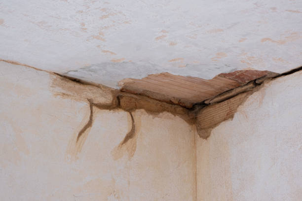 Best Ceiling water damage repair  in Garrettsville, OH