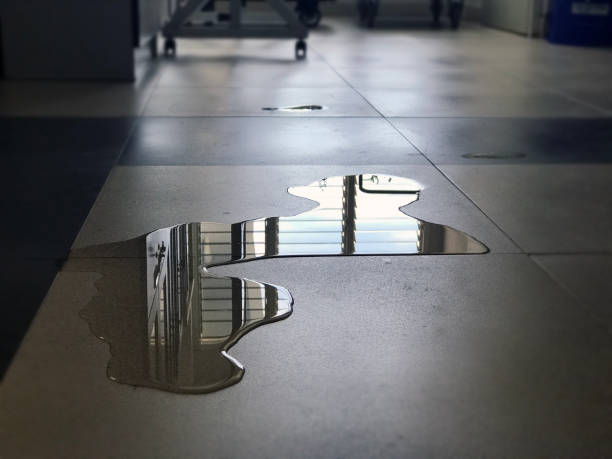 Best Water damage restoration process  in Garrettsville, OH