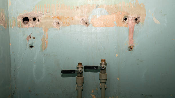 Best Sewage cleanup and water damage restoration  in Garrettsville, OH