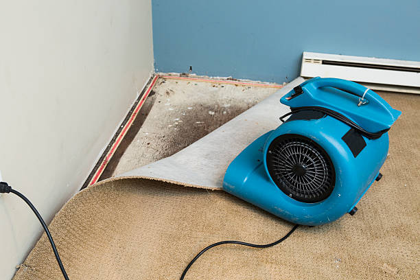 Best Flood damage cleanup  in Garrettsville, OH